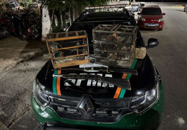 PMCE apreende armas de fogo e aves silvestres em Ipueiras