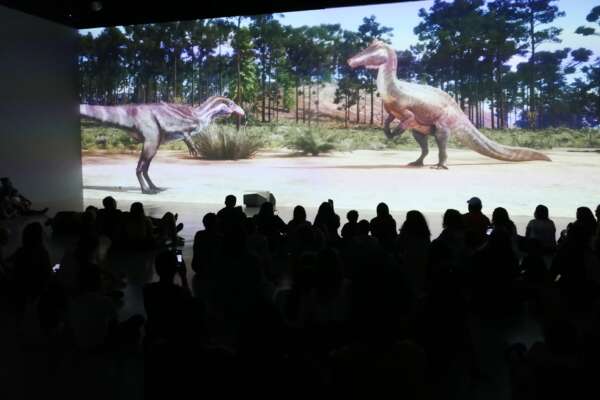 Museu da Imagem e do Som realiza Mostra Ocupa MIS, com dez obras realizadas por meio de edital de fomento