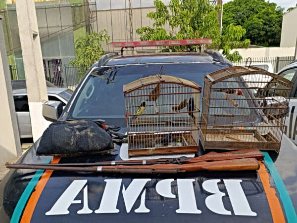 Aves silvestres, macaco-prego e espingardas artesanais são apreendidos pela PMCE em Itapipoca