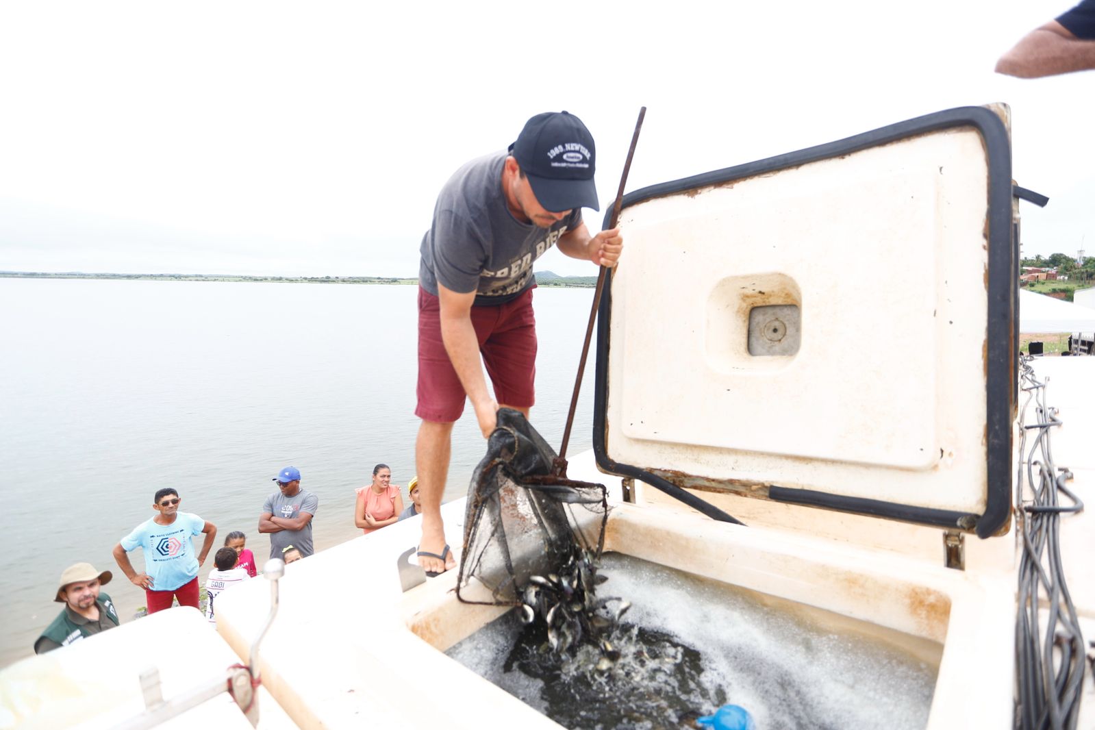 Governo do Ceará entrega 100 mil alevinos de tilápia no Açude Lima Campos, em Icó