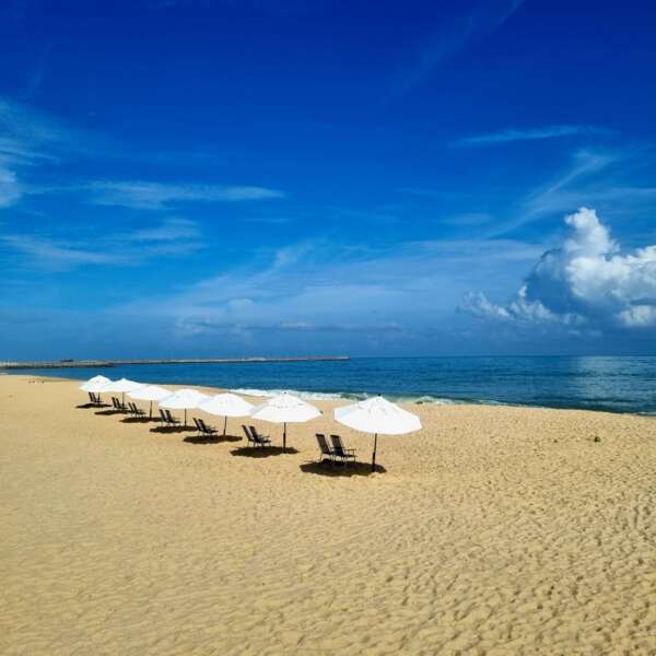 Ceará possui 39 pontos de praia próprios para banho durante o carnaval