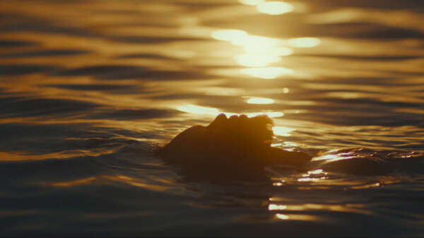 Brasil é homenageado em Cannes e Ceará é destaque com projetos de internacionalização do audiovisual