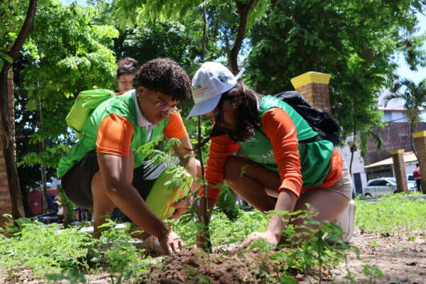 Sema abre Festa Anual das Árvores com plantio e distribuição de mudas no Parque Rio Branco, em Fortaleza