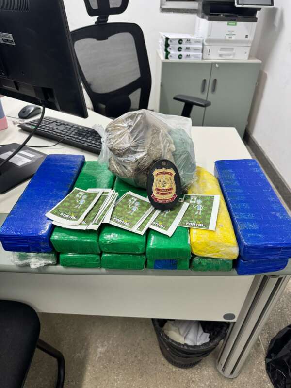 Investigação da PCCE resulta na prisão de suspeito em posse de 11 kg de maconha