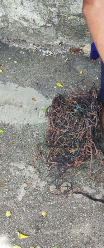 Três são presos pela PMCE por furtar fios no Centro de Fortaleza