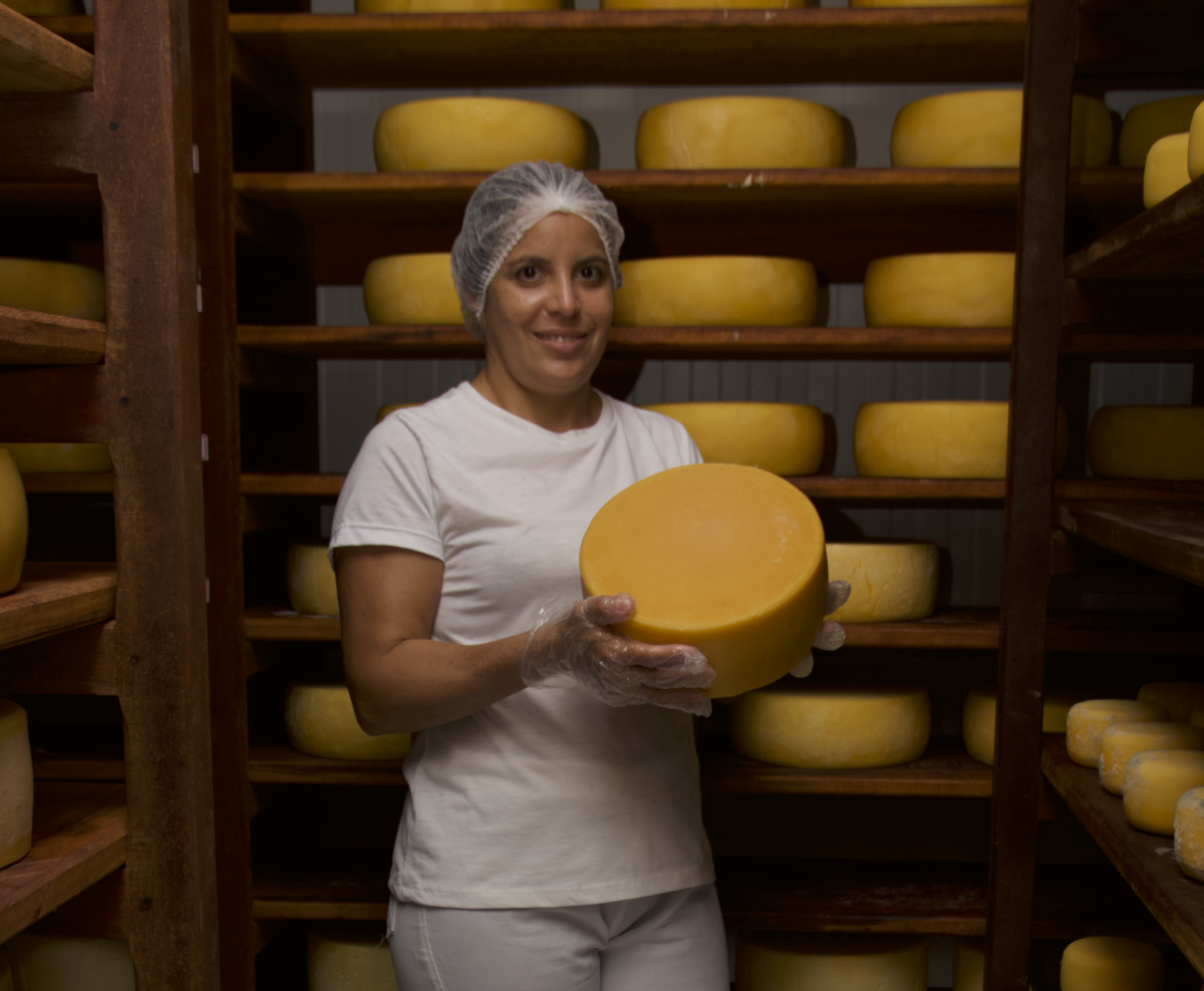 SDE debate melhorias para atividade de produção de queijos artesanais no Ceará