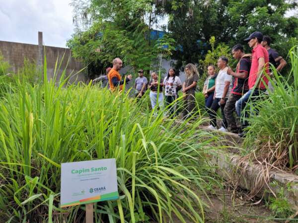 Sesa capacita Agentes Indígenas de Cultivo para projeto Interculturalidade e Farmácias Vivas no SUS Ceará