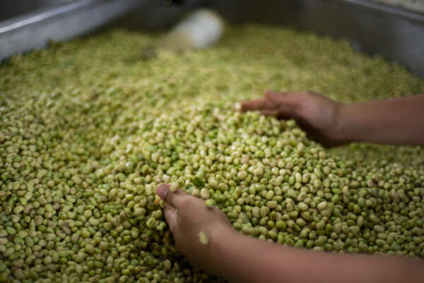 Alimentos que não podem faltar na Semana Santa dos cearenses