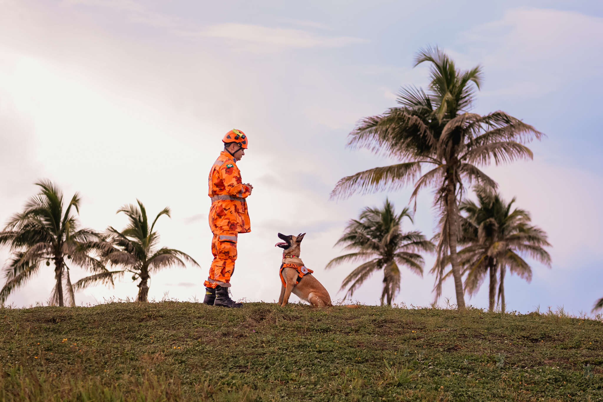Heróis de quatro patas: conheça a atuação dos cães de busca e resgate das Forças de Segurança do Ceará