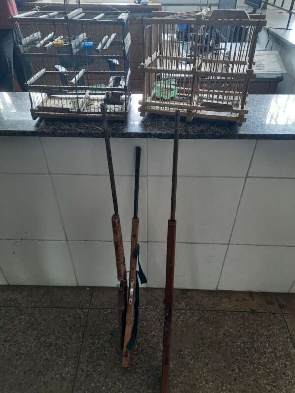 Polícia Militar apreende três armas de fogo artesanais e resgata pássaro silvestre em Viçosa do Ceará