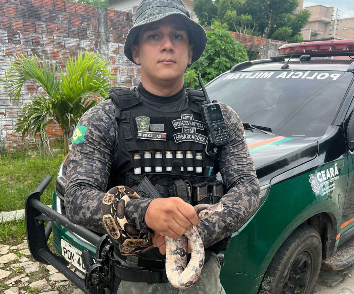 Polícia Militar é acionada para resgatar jiboia no bairro Sapiranga