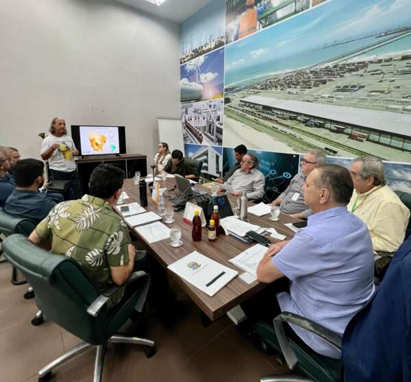 SDE discute melhorias para fortalecimento e desenvolvimento econômico da cadeia produtiva de apicultura no Ceará