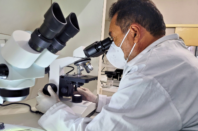 Saúde do Ceará reforça prevenção contra a febre do Oropouche no estado