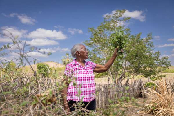 Centro Cultural do Cariri comemora 3 anos com programação que celebra a geografia cultural da região, seus territórios e identidades