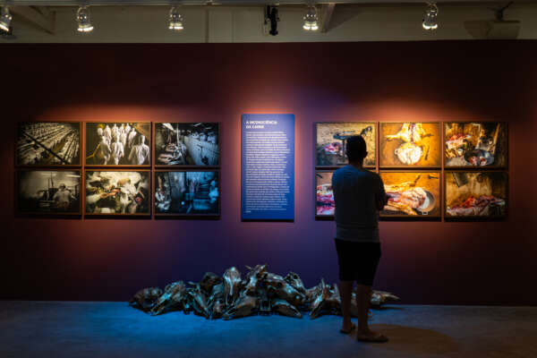 Centro Cultural do Cariri abre inscrições para curso gratuito de longa duração em Pesquisa e Criação em Exposições de Arte