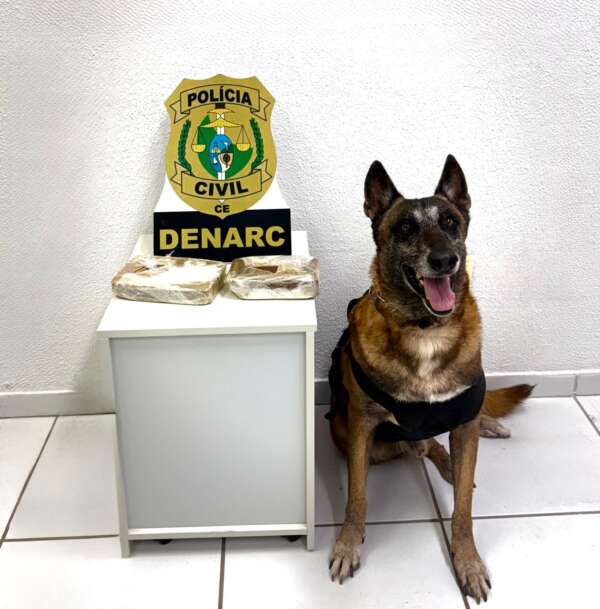 Em ações distintas, PCCE captura trio e apreende 2 kg de drogas em Fortaleza