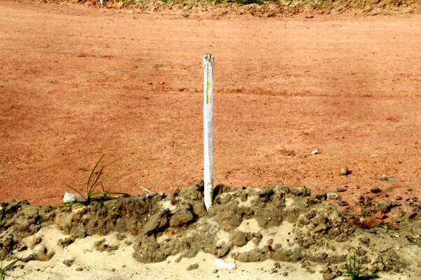 Missão jesuítica no Ceará é tema de residência artística promovida pelo Sobrado Dr. José Lourenço