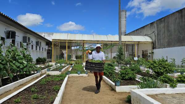 Unidade Prisional de Sobral doa alimentos cultivados por pessoas privadas de liberdade ao Ceará Sem Fome