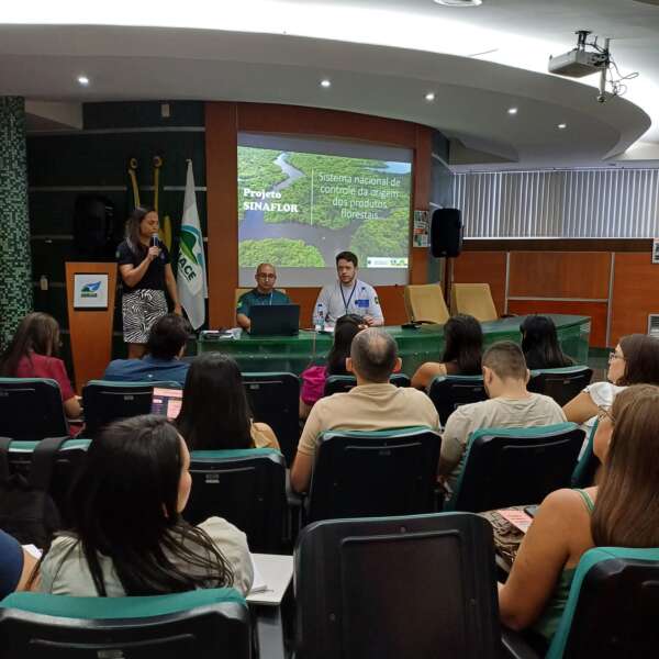 Semace capacita 53 municípios para controle e monitoramento florestal