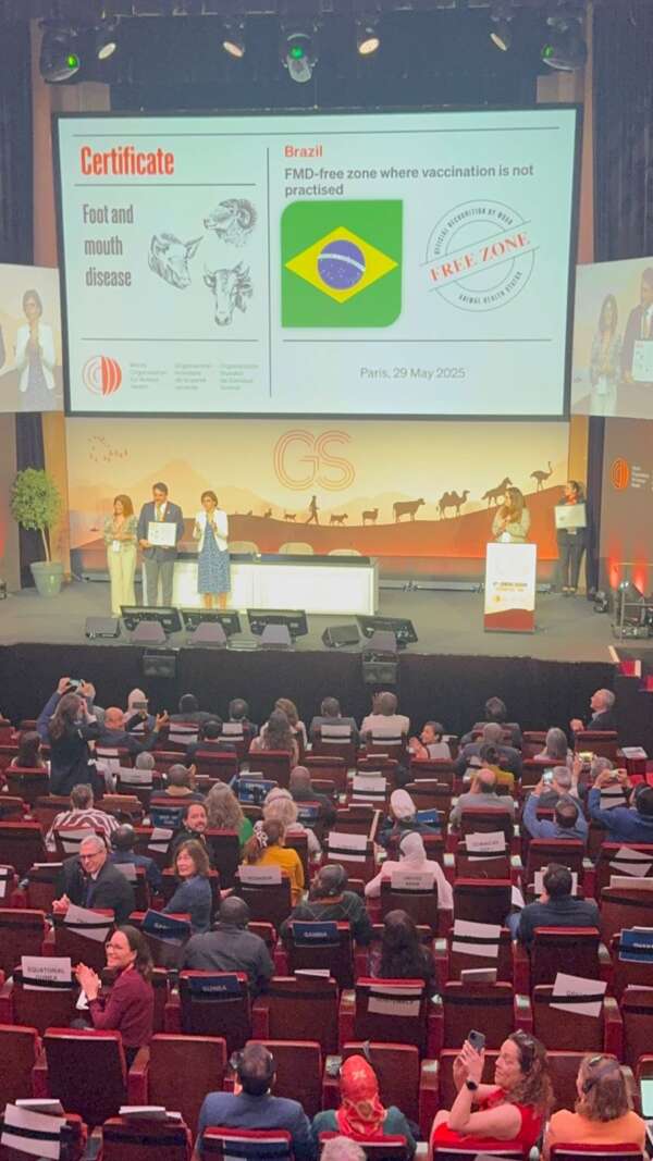 Ceará é livre de Febre Aftosa, reconhece a Organização Mundial de Saúde Animal (OMSA)