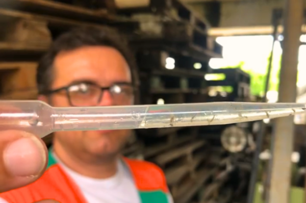 Cuidados com a prevenção de doenças transmitidas por mosquitos devem ser permanentes