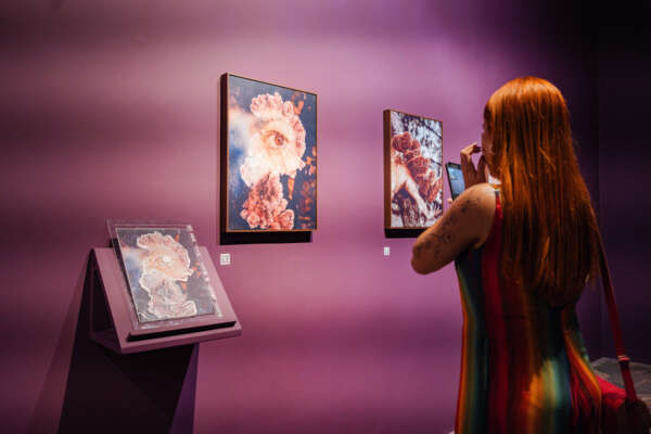 MCC e MAC celebram Semana Nacional dos Museus com encontros territoriais e atividades formativas