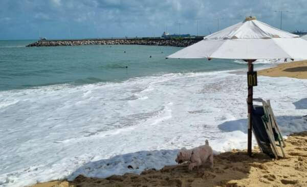 Semace divulga boletim de balneabilidade das praias de Fortaleza neste fim de semana
