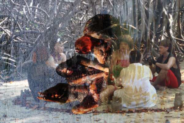 Museu da Imagem e do Som promove tira-dúvidas presencial sobre edital Ocupa MIS