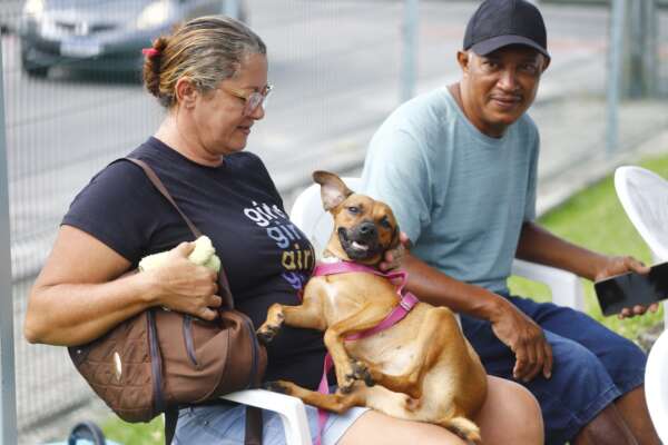 Pet Ceará Móvel estaciona no bairro São João do Tauape; agendamento está disponível
