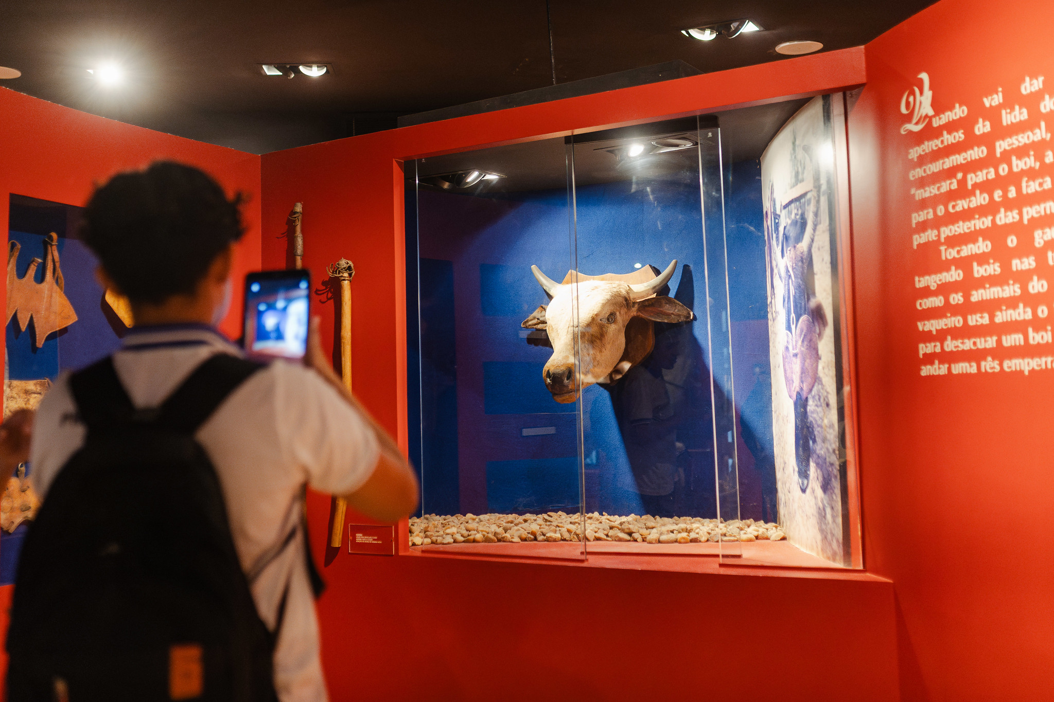 Coral da UECE, festa junina e mostra de cinema italiano encerram programação de junho no Dragão do Mar