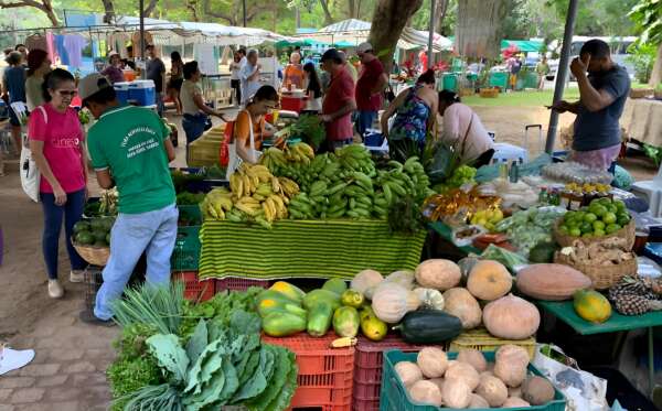 IV Festa da Colheita da Agroecologia do Ceará une São João e Junho Ambiental