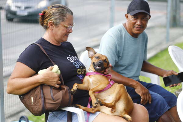 Pet Ceará Móvel estaciona no Castelão; agendamento já está disponível