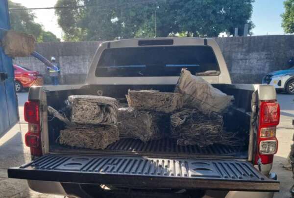 Mais de 150 pessoas são capturadas durante ações das Forças de Segurança de combate a furto, roubo ou receptação de fios elétricos