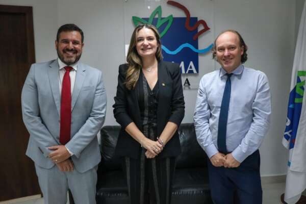 Reunião no Ibama discute licenciamento ambiental de obras estratégicas no Complexo do Pecém