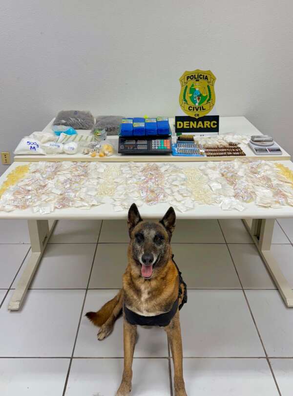 Com ajuda de cão farejador, PCCE realiza apreensão de drogas em Caucaia