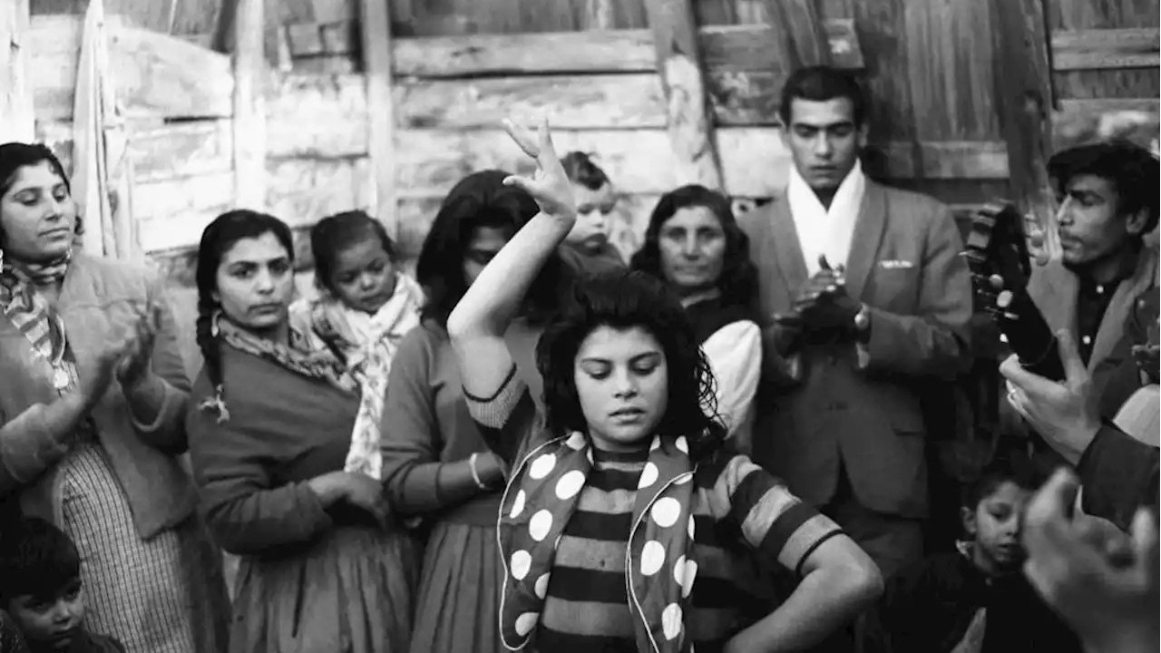 Cineteatro São Luiz oferece duas programações gratuitas de cinema entre os dias 11 e 14 de junho