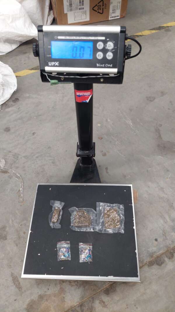 Com auxílio de cão farejador, drogas que estavam escondidas em encomendas são apreendidas pela PCCE