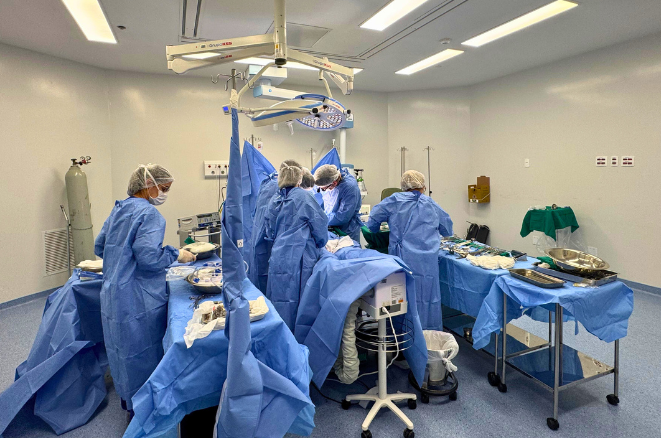 Hospital Regional Vale do Jaguaribe capta sete órgãos em 48h para transplantes em Fortaleza e Porto Alegre