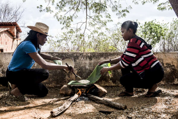 Mercado AlimentaCE realiza Festival de Cultura Alimentar Indígena neste sábado (19)
