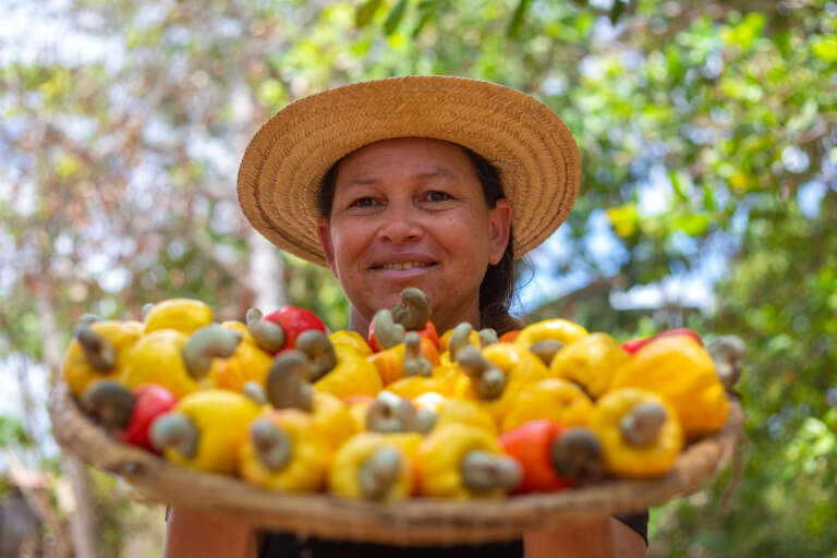 SDA coordenará política de centralização de compras de alimentos da agricultura familiar no Ceará