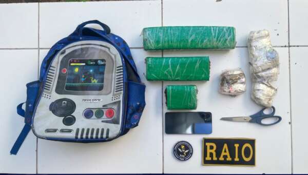 PMCE prende homem por tráfico de drogas e apreende mais de 2 kg de maconha em Novo Oriente