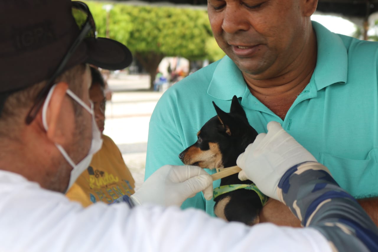 Giro Pet Ceará leva vacinação e encoleiramento gratuitos a Fortaleza e Icapuí esta semana