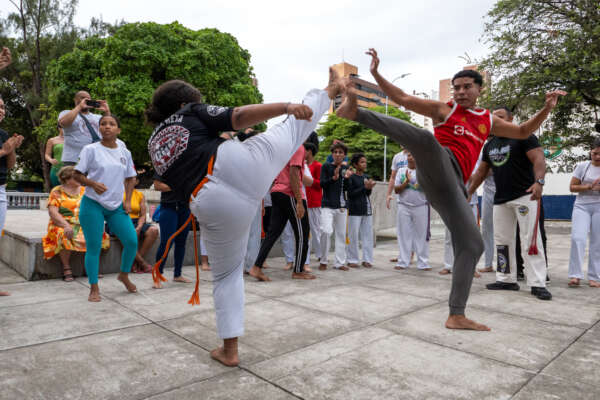 Museu da Imagem e do Som abre nova exposição instalativa de artistas cearenses