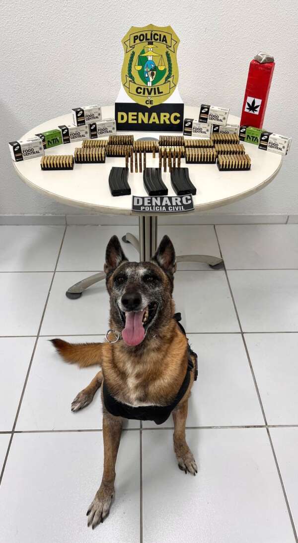 Com auxílio de cão farejador, PCCE apreende 1 kg de maconha e 680 munições em Messejana