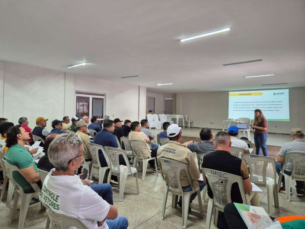 Esp-CE capacita profissionais em Pedra Branca para controle contínuo de transmissores de doença de Chagas e leishmanioses
