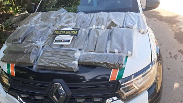 PMCE apreende mais de 32 quilos de maconha em casa abandonada no bairro Granja Lisboa