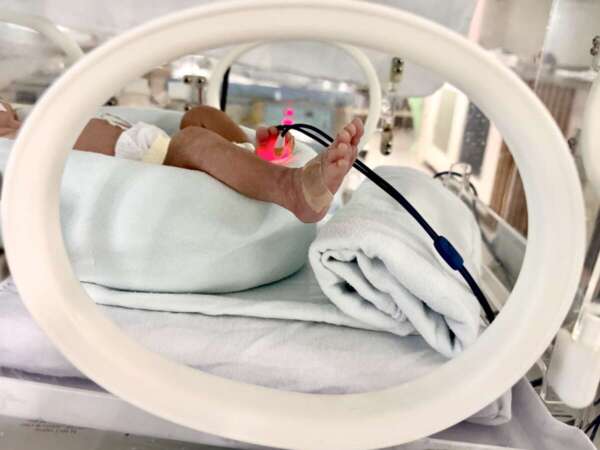 Hospital Geral Dr. Waldemar Alcântara reforça pedido por doação de leite humano durante Agosto Dourado