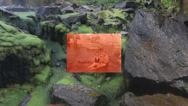 Museu da Imagem e do Som recebe Bezoar do Tempo, exposição de quatro fotógrafas cearenses