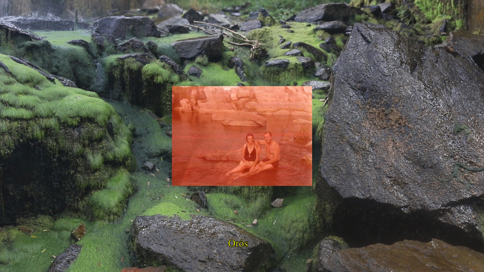 Museu da Imagem e do Som recebe Bezoar do Tempo, exposição de quatro fotógrafas cearenses