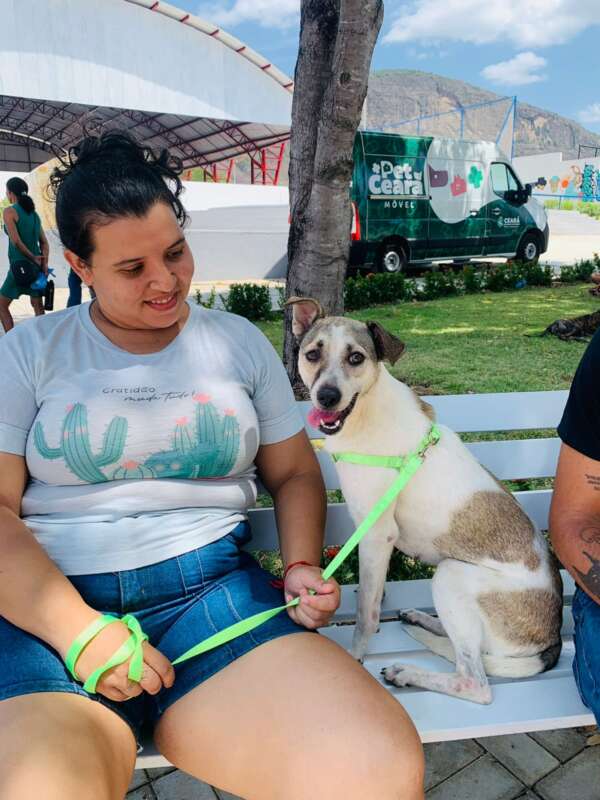 Pet Ceará Móvel leva castração gratuita a Ubajara e Ibiapina; agendamento já está disponível